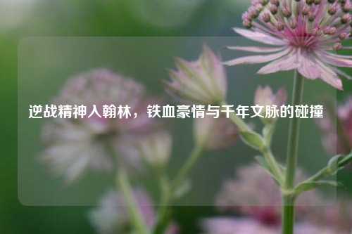 逆战精神入翰林,铁血豪情与千年文脉的碰撞