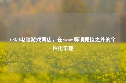 CSGO电脑游戏商店,在Steam解锁竞技之外的个性化乐趣