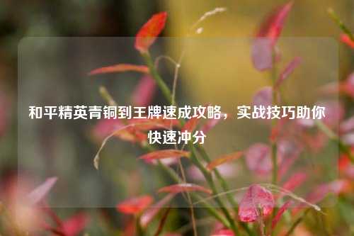 和平精英青铜到王牌速成攻略,实战技巧助你快速冲分