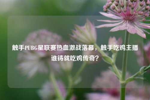 触手PUBG星联赛热血激战落幕,触手吃鸡主播谁铸就吃鸡传奇?