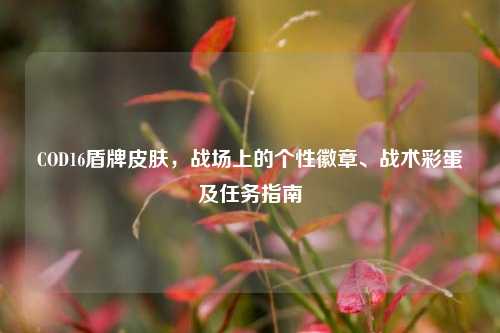 COD16盾牌皮肤,战场上的个性徽章、战术彩蛋及任务指南