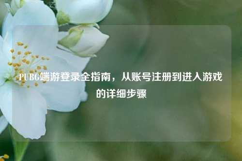 PUBG端游登录全指南,从账号注册到进入游戏的详细步骤