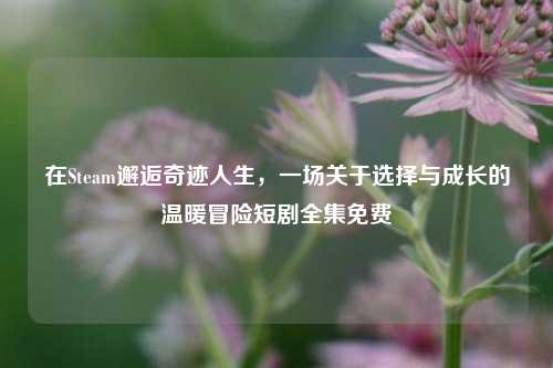 在Steam邂逅奇迹人生,一场关于选择与成长的温暖冒险短剧全集免费
