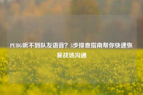 PUBG听不到队友语音?5步排查指南帮你快速恢复战场沟通