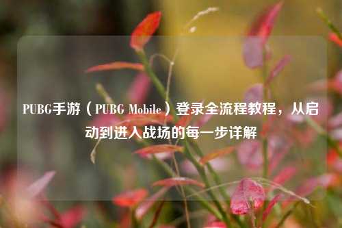 PUBG手游（PUBG Mobile）登录全流程教程，从启动到进入战场的每一步详解