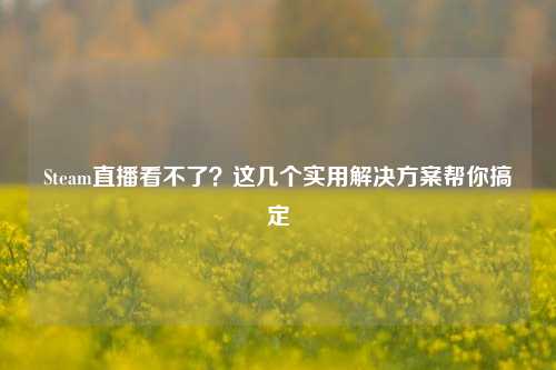 Steam直播看不了?这几个实用解决方案帮你搞定