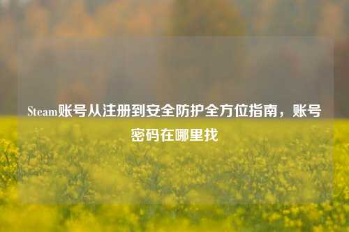 Steam账号从注册到安全防护全方位指南，账号密码在哪里找