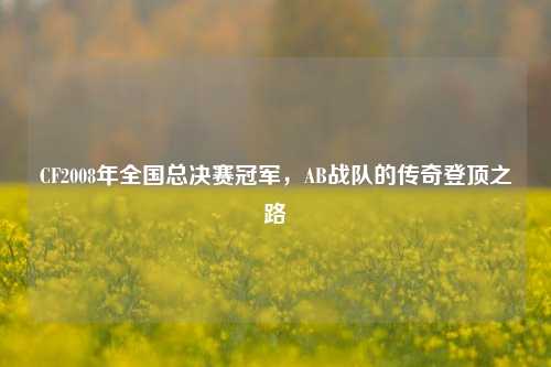 CF2008年全国总决赛冠军,AB战队的传奇登顶之路