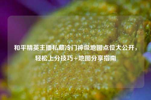 和平精英主播私藏冷门神级地图点位大公开,轻松上分技巧+地图分享指南