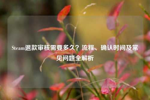 Steam退款审核需要多久?流程、确认时间及常见问题全解析