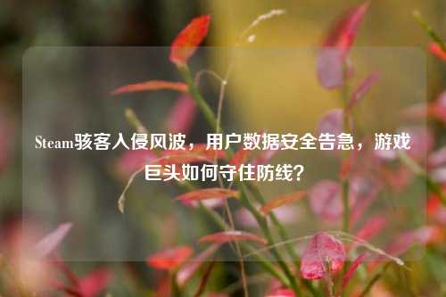 Steam骇客入侵风波,用户数据安全告急,游戏巨头如何守住防线?