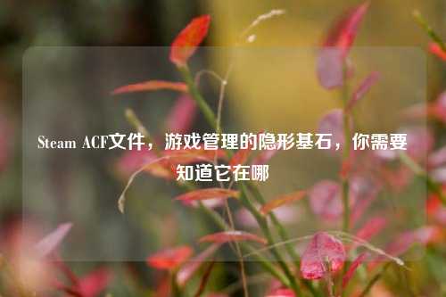 Steam ACF文件,游戏管理的隐形基石,你需要知道它在哪