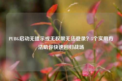 PUBG启动无提示或无权限无法登录？5个实用     助你快速回归战场