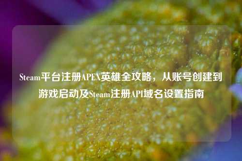 Steam平台注册APEX英雄全攻略,从账号创建到游戏启动及Steam注册API域名设置指南