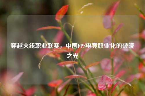 穿越火线职业联赛,中国FPS电竞职业化的破晓之光
