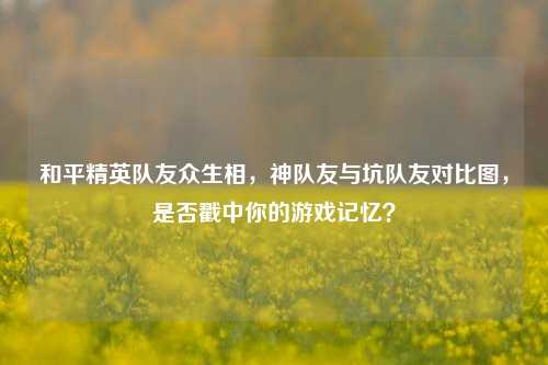 和平精英队友众生相,神队友与坑队友对比图,是否戳中你的游戏记忆?