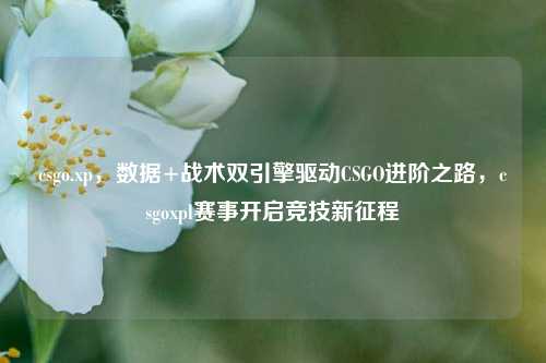 csgo.xp,数据+战术双引擎驱动CSGO进阶之路,csgoxpl赛事开启竞技新征程