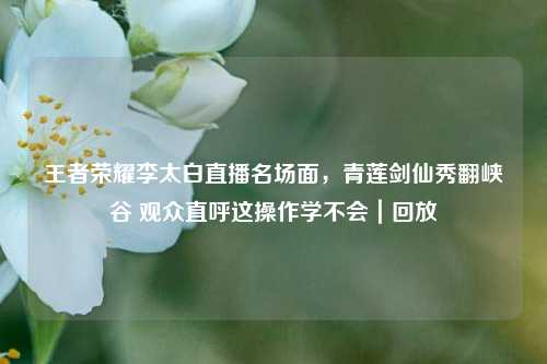王者荣耀李太白直播名场面,青莲剑仙秀翻峡谷 观众直呼这操作学不会|回放