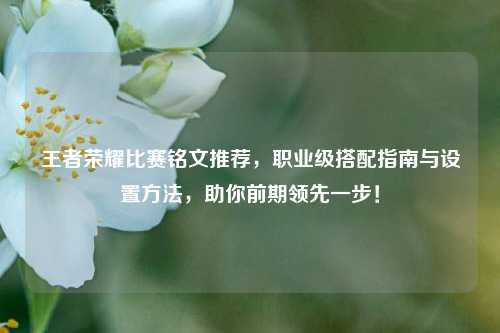 王者荣耀比赛铭文推荐,职业级搭配指南与设置 ,助你前期领先一步!