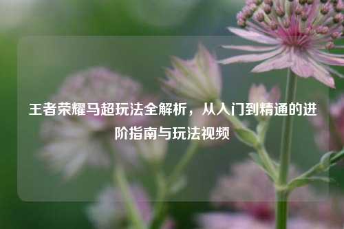 王者荣耀马超玩法全解析,从入门到精通的进阶指南与玩法视频