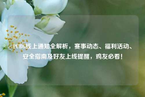 PUBG线上通知全解析,赛事动态、福利活动、安全指南及好友上线提醒,鸡友必看!