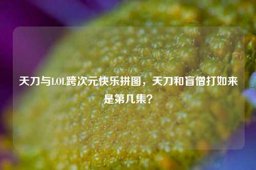 天刀与LOL跨次元快乐拼图,天刀和盲僧打如来是第几集?