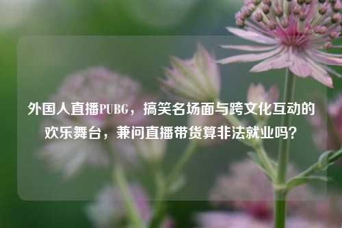 外国人直播PUBG,搞笑名场面与跨文化互动的欢乐舞台,兼问直播带货算非法就业吗?