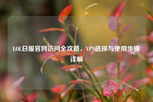 LOL日服官网访问全攻略,VPN选择与使用步骤详解