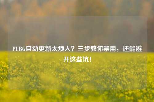PUBG自动更新太烦人?三步教你禁用,还能避开这些坑!