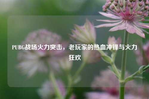 PUBG战场火力突击,老玩家的热血冲锋与火力狂欢