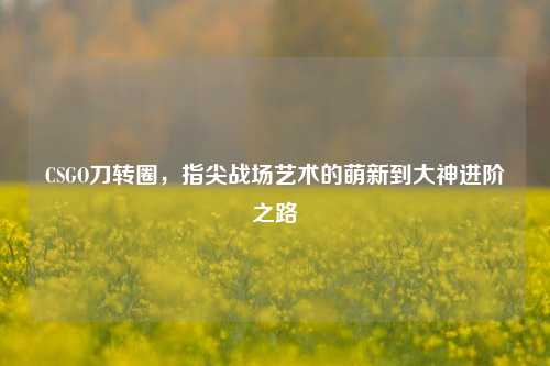 CSGO刀转圈,指尖战场艺术的萌新到大神进阶之路