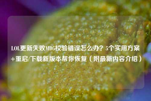 LOL更新失败MD5校验错误怎么办?5个实用方案+重启/下载新版本帮你恢复(附最新内容介绍)