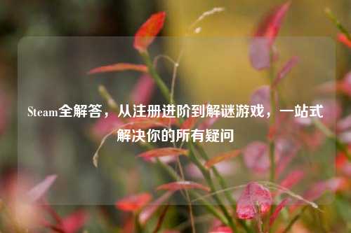 Steam全解答，从注册进阶到解谜游戏，一站式解决你的所有疑问