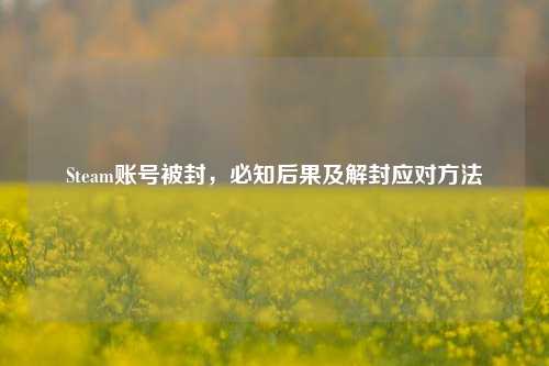 Steam账号被封,必知后果及解封应对
