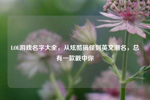 LOL游戏名字大全,从炫酷搞怪到英文潮名,总有一款戳中你